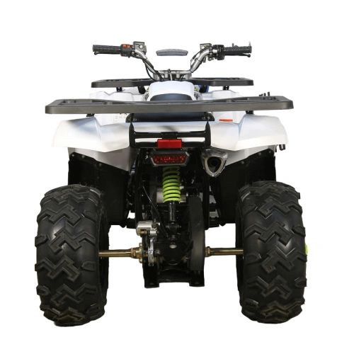 Квадроцикл AVANTIS H200 NEW (Баланс. вал) 2569750