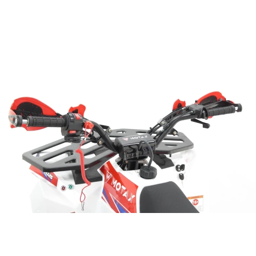 Квадроцикл MOTAX Grizlik A125