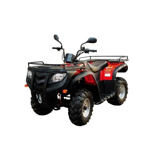 Квадроцикл LONCIN 250 2546489