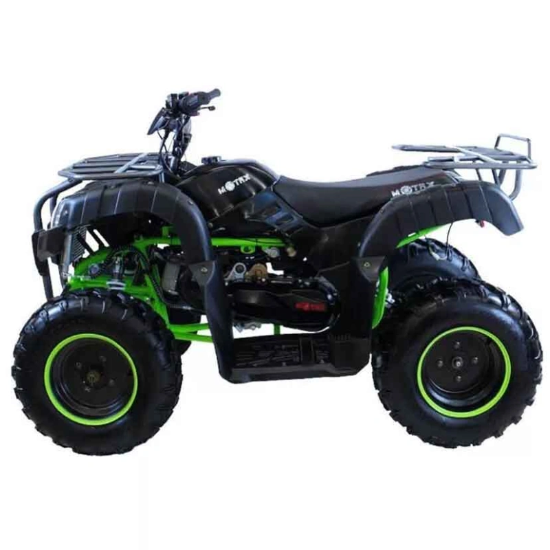 Квадроцикл MOTAX ATV Grizlik 200 Lux 2546411
