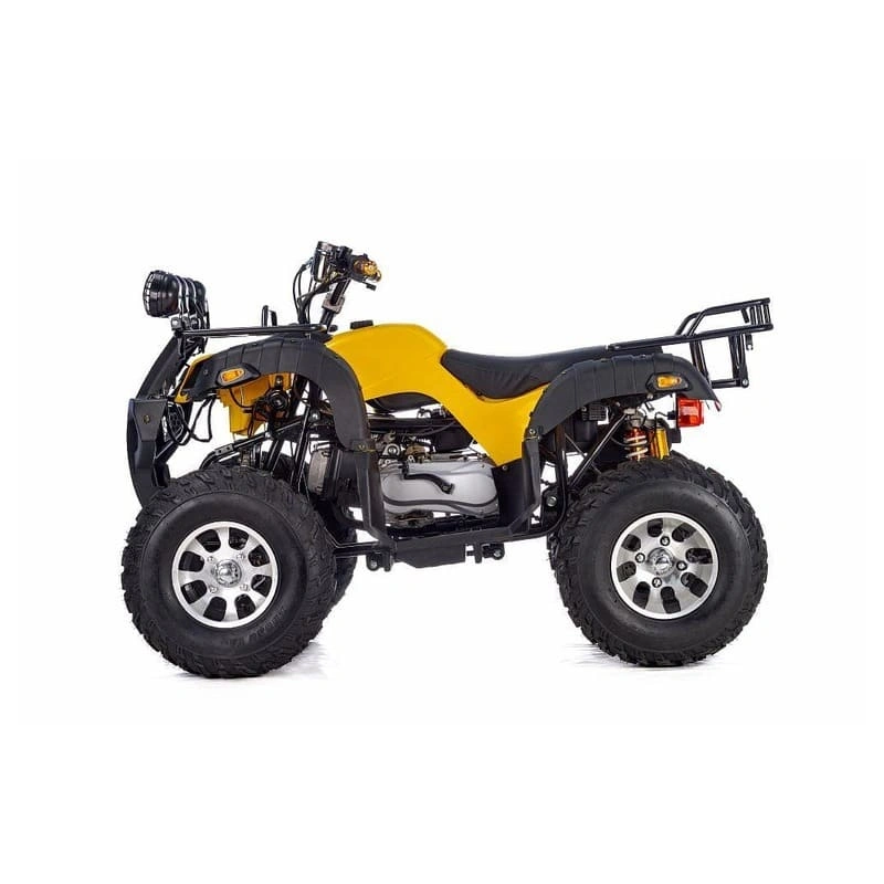 Квадроцикл RAPTOR Max Pro 250 (жёлтый/чёрный) (2024)