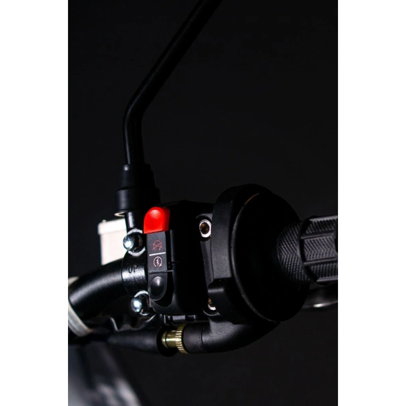 Мотоцикл кроссовый эндуро BSE RTC-300R Y 1.0 2548596