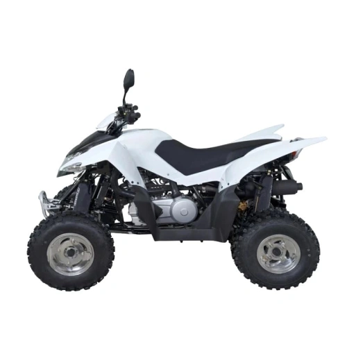 Квадроцикл SYM QuadRaider 300 SS 2574818