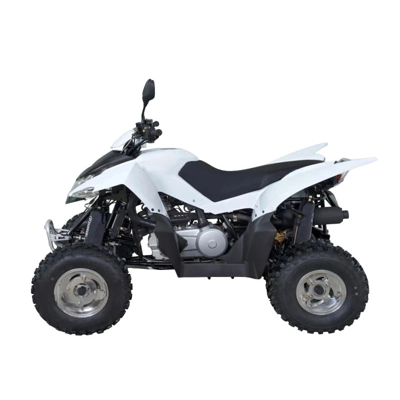 Квадроцикл SYM QuadRaider 300 SS 2574818
