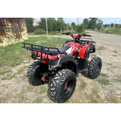 Квадроцикл RAPTOR Madman 200 All