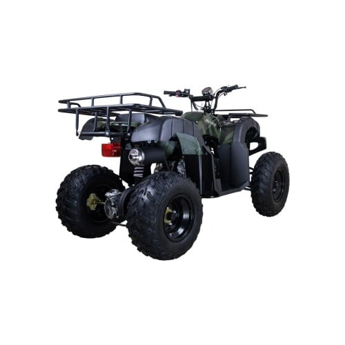 Квадроцикл AVANTIS Hunter 150 Lite 2558649