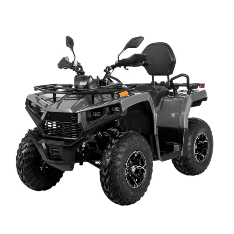 Квадроцикл BIZON YK250 Lux EFI