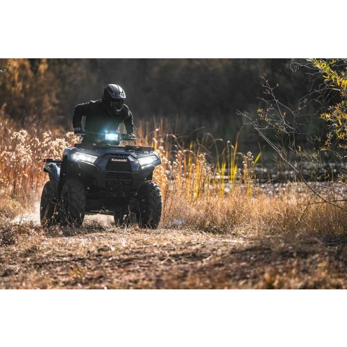 Квадроцикл KAWASAKI Brute Force 750 EPS (2024) (ПСМ) 2587386