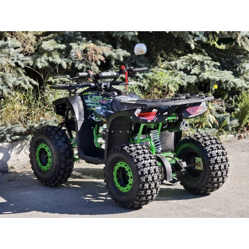Квадроцикл RMOTO Lion 125AR Lite 2591470