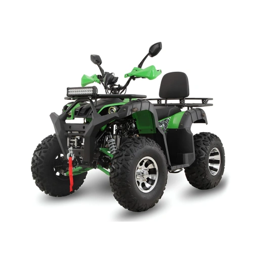 Квадроцикл GRIZZLY 200 Premium 2589193