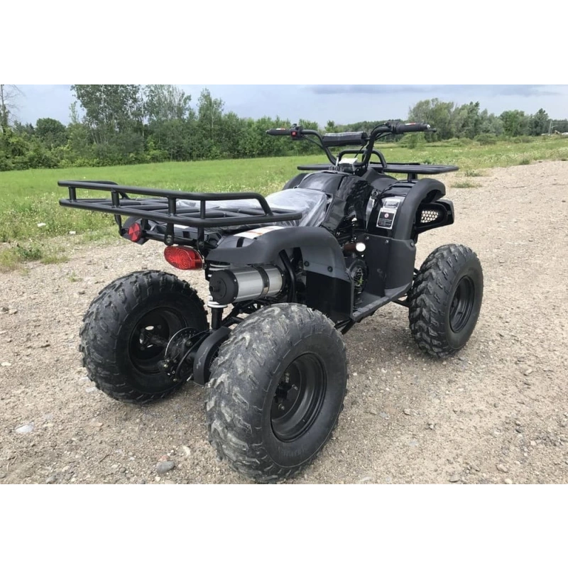 Квадроцикл HAMMER Hunter 300