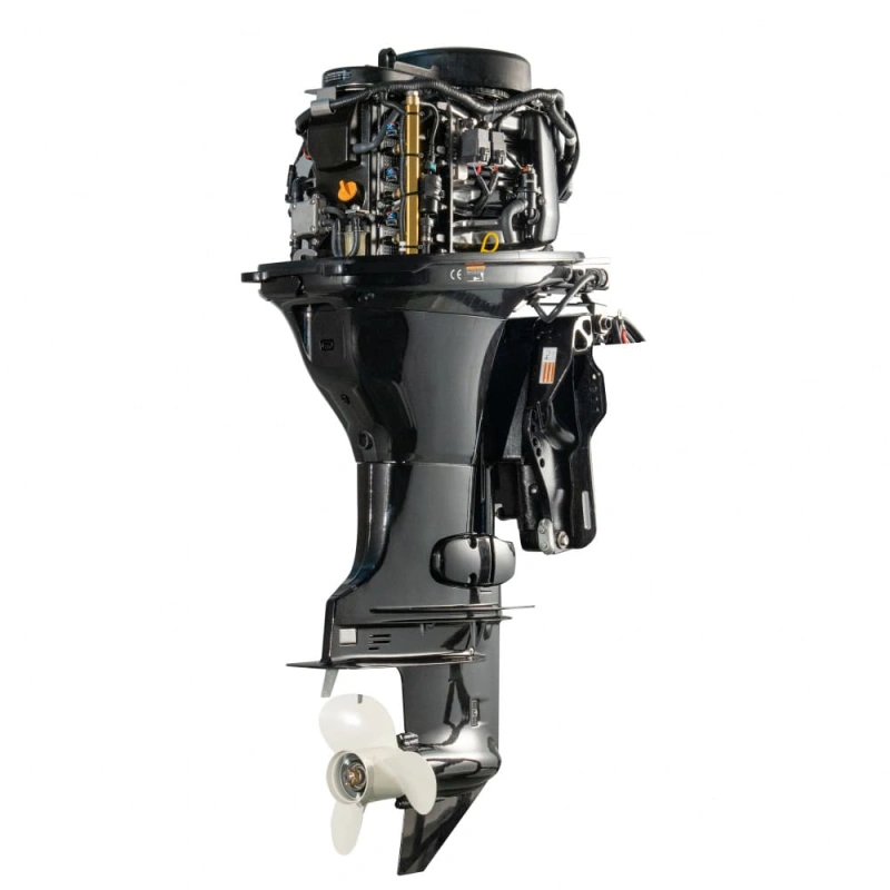 4х-тактный лодочный мотор PARSUN F115FEX-T EFI 2587502