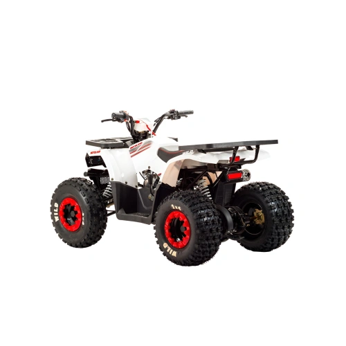 Квадроцикл MOTOLAND 125 Wild 2590767