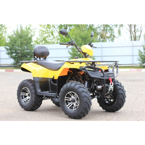 Квадроцикл IRBIS ATV200 Premium 2586881
