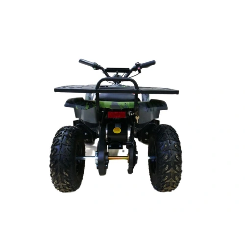 Электроквадроцикл MOTAX Grizlik X16 New E1000 Big Wheel 2547482