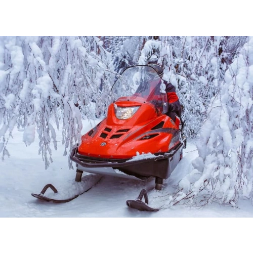 Снегоход РУССКАЯ МЕХАНИКА Тайга Варяг 550V