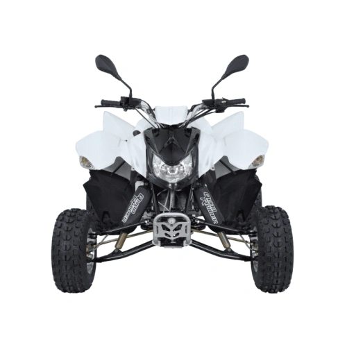Квадроцикл SYM QuadRaider 300 SD 2574814