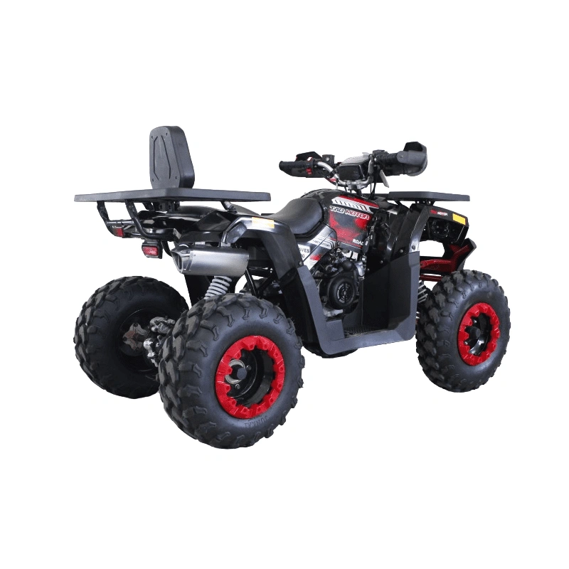 Квадроцикл HUNTER 250 2569720
