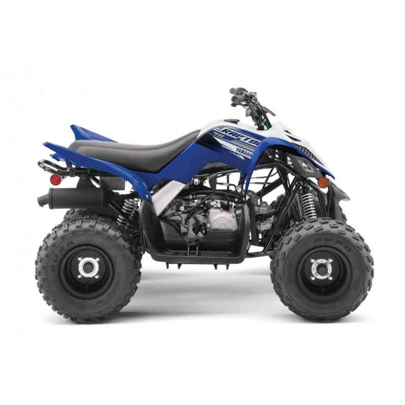 Квадроцикл YAMAHA YFM90R (Raptor 90) 2546399