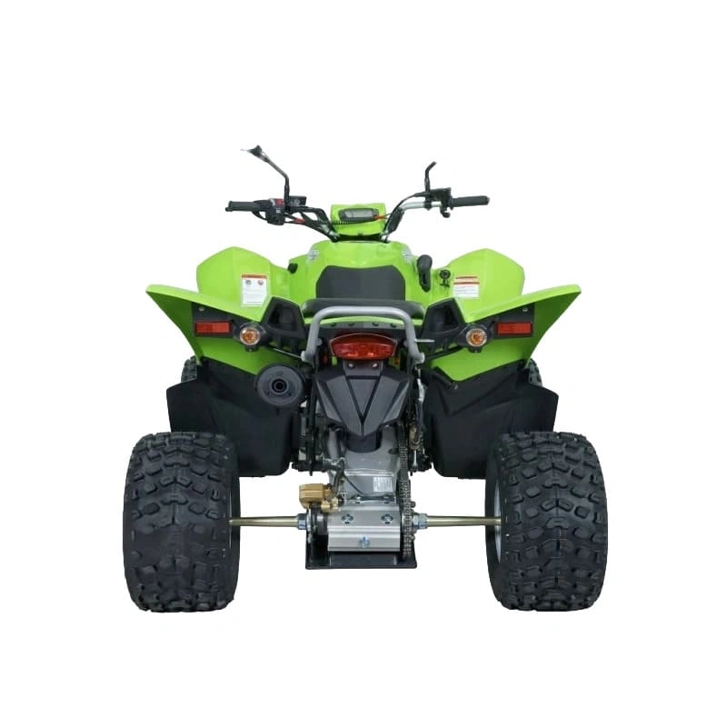 Квадроцикл SYM QuadRaider 300 SS 2574818