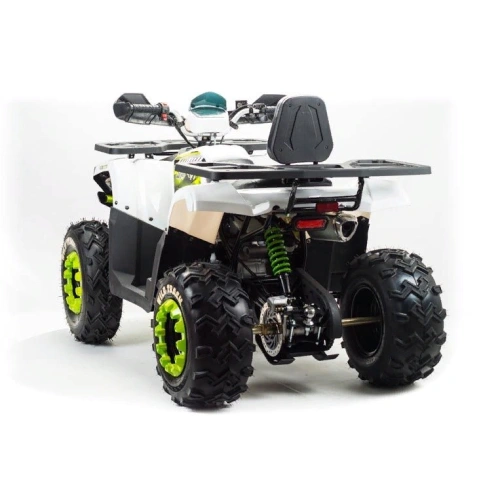 Квадроцикл MOTOLAND ATV 200 Wild Track 248051