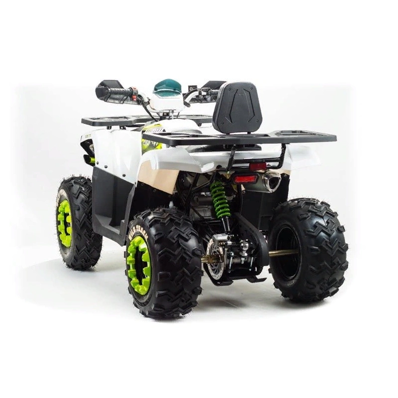 Квадроцикл MOTOLAND ATV 200 Wild Track 248051