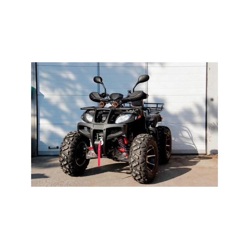 Квадроцикл GRIZZLY 250