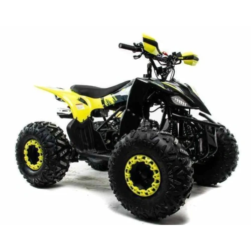 Квадроцикл MOTOLAND 125 Raptor