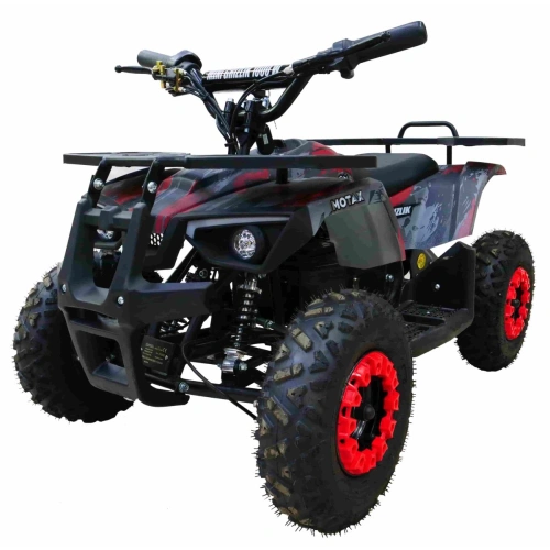 Электроквадроцикл MOTAX Grizlik X16 New E1000 2558711