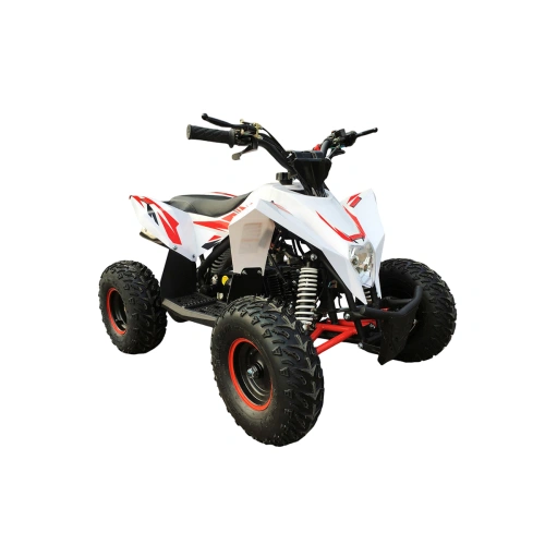 Квадроцикл MOTAX Gekkon 90cc
