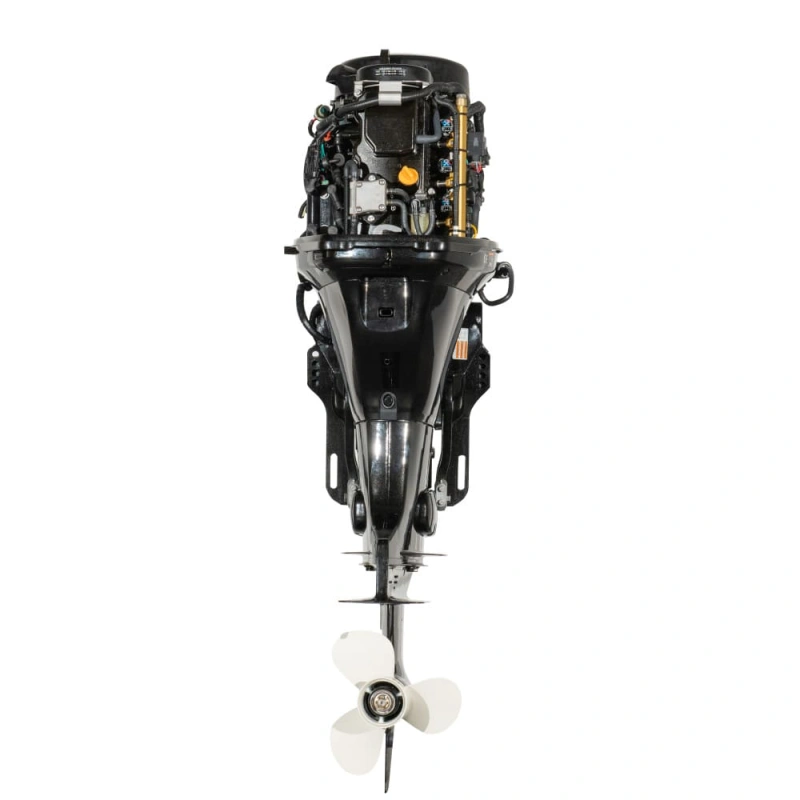 4х-тактный лодочный мотор GOLFSTREAM F115FEL-T EFI 2557926