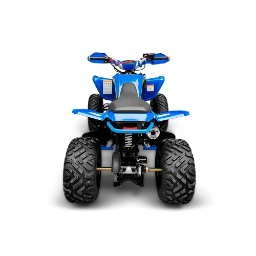 Квадроцикл RACER Typhoon 250 2591520