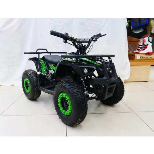 Электроквадроцикл MOTAX Grizlik X16 New E1000 2558711