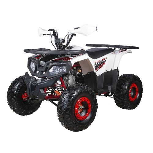 Квадроцикл YACOTA Fusion 125 Pro 250904