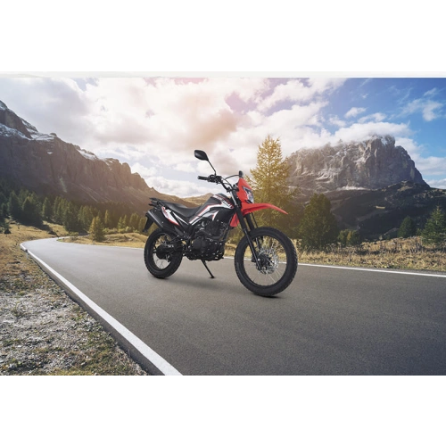 Мотоцикл LIFAN LF250GY-4D ТУРЭНДУРО 2589100