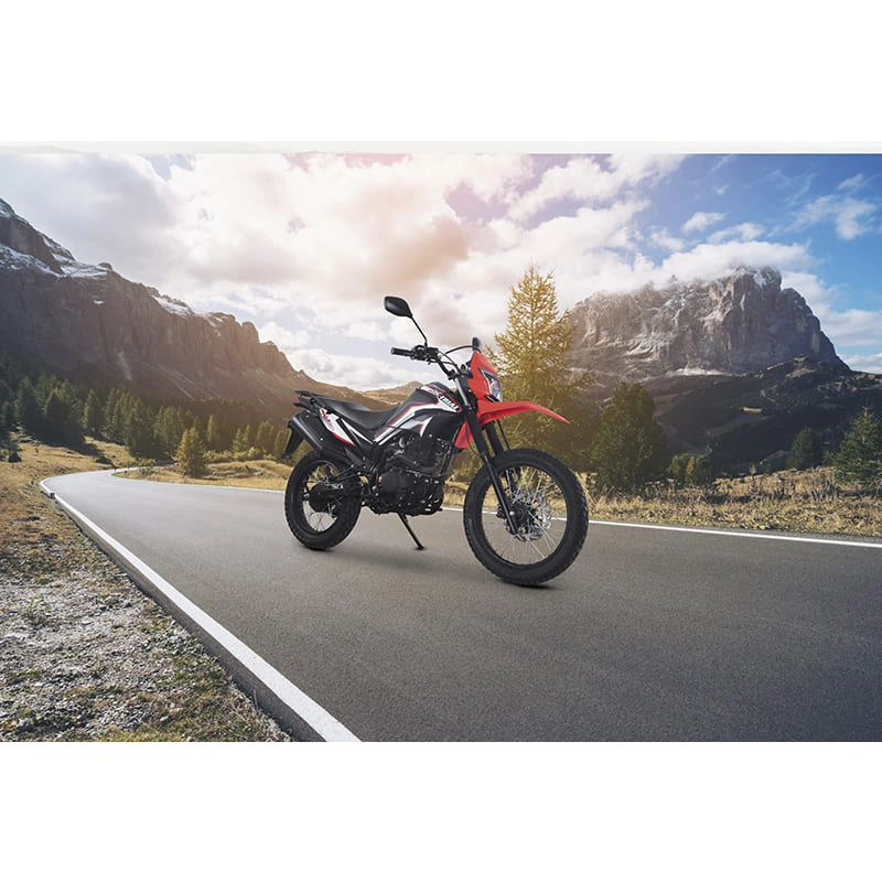 Мотоцикл LIFAN LF250GY-4D ТУРЭНДУРО 2589100