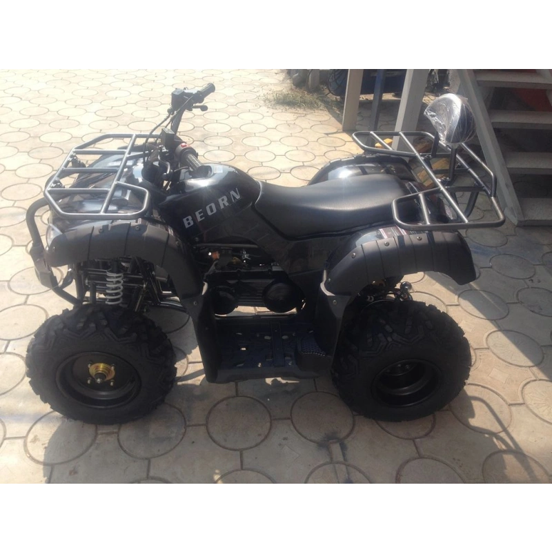 Квадроцикл ATV Beorn 200 2558103