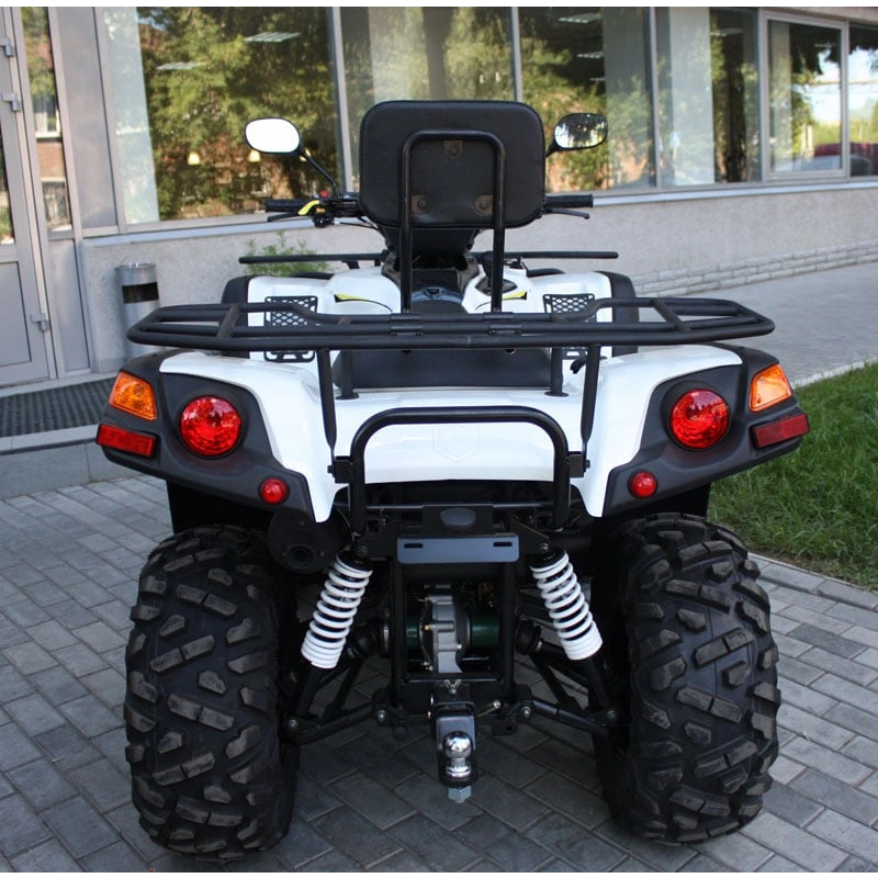 Квадроцикл РМ Gamax AX 600 2560198