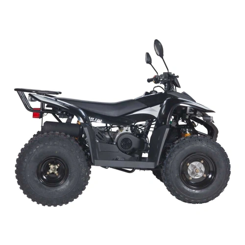 Квадроцикл BALTMOTORS Jam 100 2546407