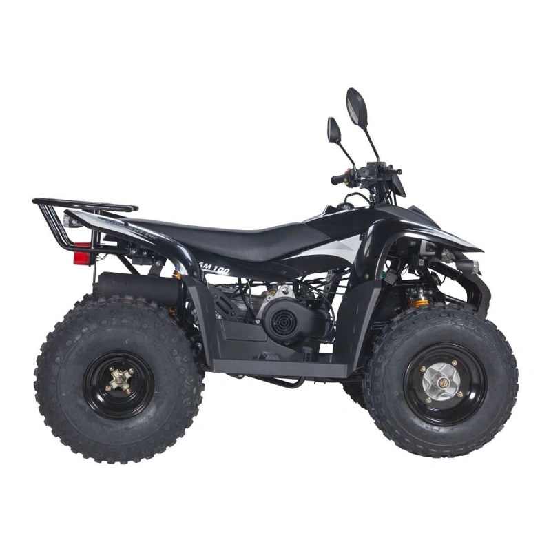 Квадроцикл BALTMOTORS Jam 100 2546407