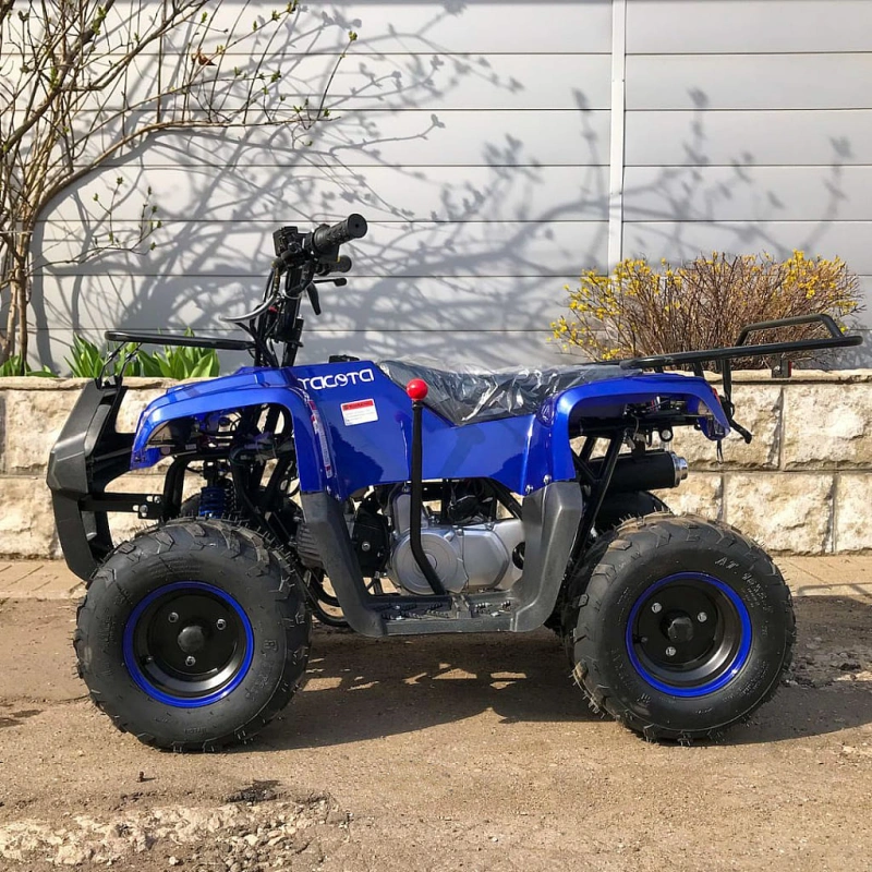 Квадроцикл YACOTA Smarty 110 248075