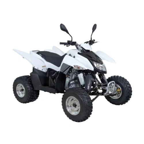 Квадроцикл SYM QuadRaider 300 SS 2574818