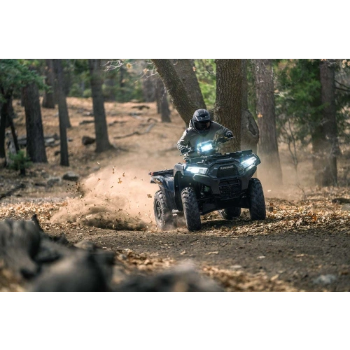 Квадроцикл KAWASAKI Brute Force 750 EPS (2024) (ПСМ)