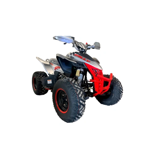 Квадроцикл MOTOLAND Rally 250