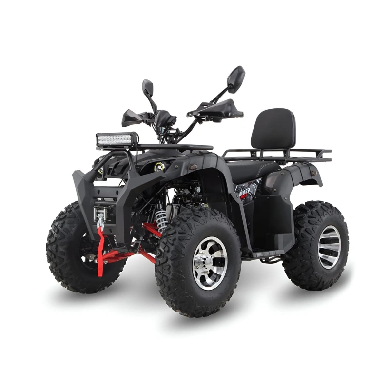 Квадроцикл GRIZZLY 200 Premium 2589193