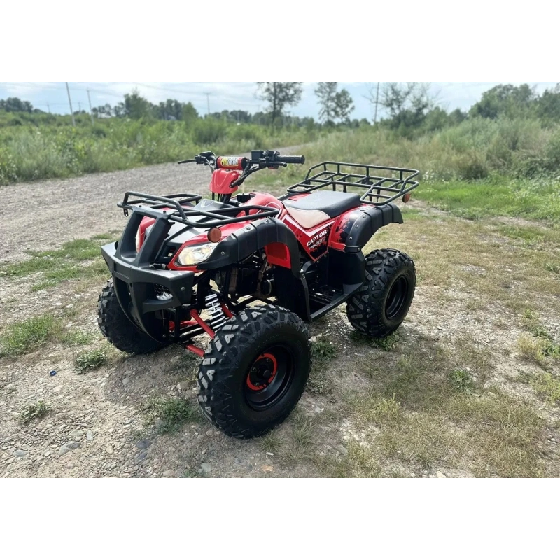 Квадроцикл RAPTOR Madman 200 All