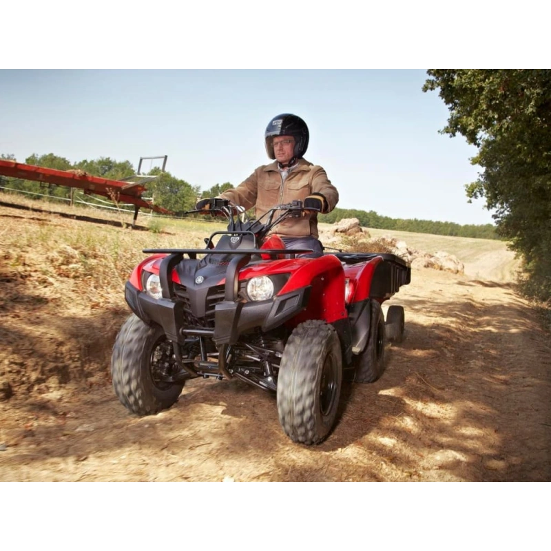 Квадроцикл YAMAHA Segway 300 2556753