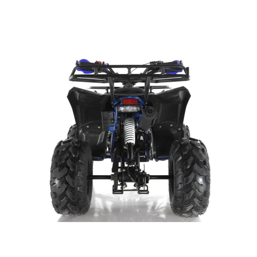Квадроцикл WELS Thunder Evo