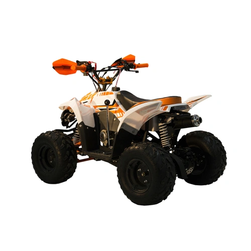 Квадроцикл RACER RC 110 Coyote 2587430
