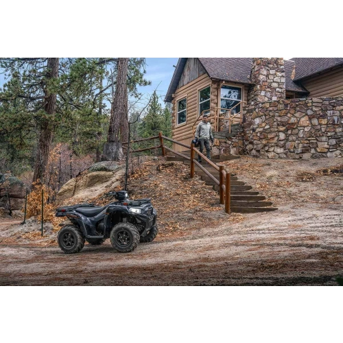 Квадроцикл KAWASAKI Brute Force 750 EPS (2024) (ПСМ) 2587386